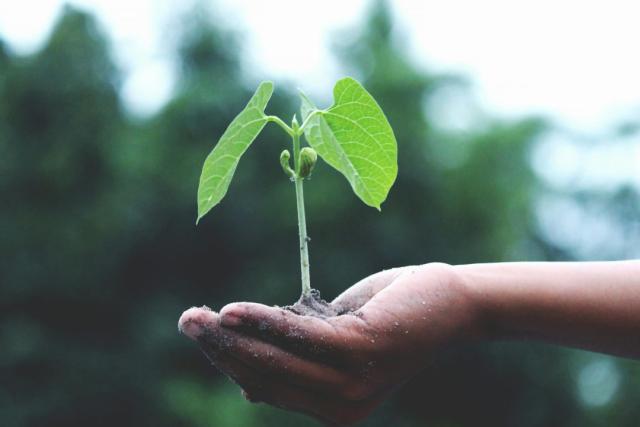 LOOKA Leading Sustainable Research in Africa